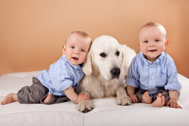 twin boys with dog