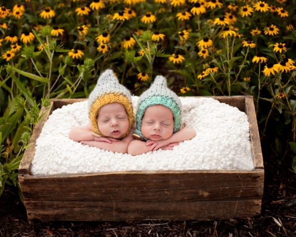 twins