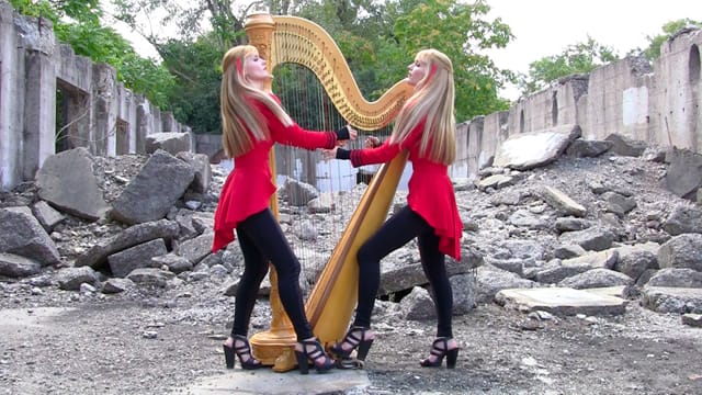 Harp twins