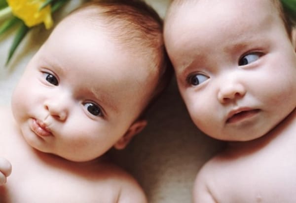 patra twins