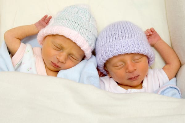 ta dora ton thermokitidon