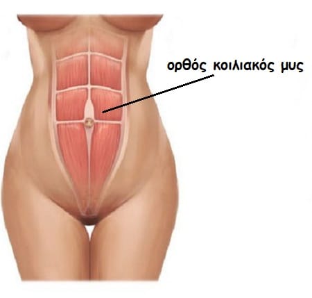 εικόνα 1