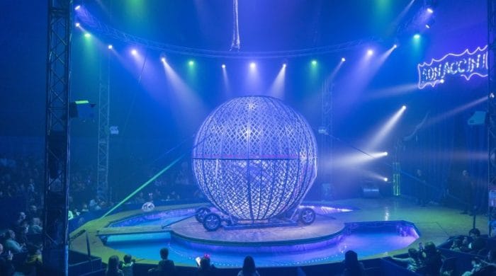 circo 31