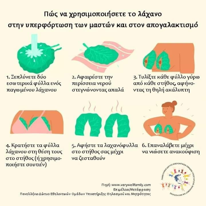 Θηλασμός διδύμων: Πώς να ανακουφιστείς από τους πόνους της μαστίτιδας με...φύλλα λάχανου 1 332311385 724390989425788 325236196045610430 n 2