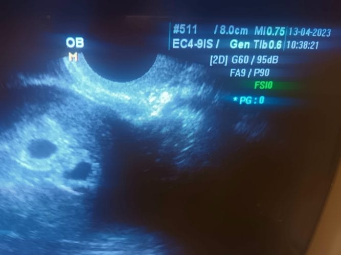 340864768 731231248782526 3821056087269309906 n