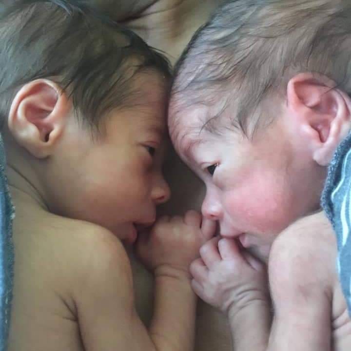 64671335 577606082643558 2825665482323918848 n