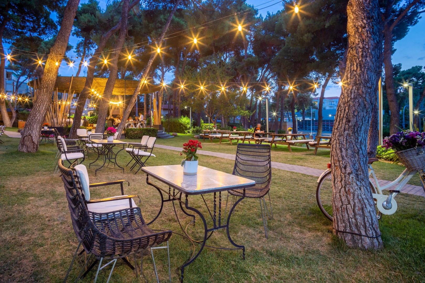 Kids Summer Cinema Nights στο Domotel Kastri: Μια μαγική καλοκαιρινή εμπειρία για μικρούς και μεγάλους 1 MG 4099 HDR