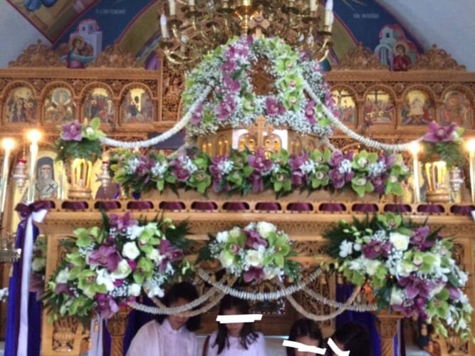 17903424 10202809334272445 4824169245033187501 n