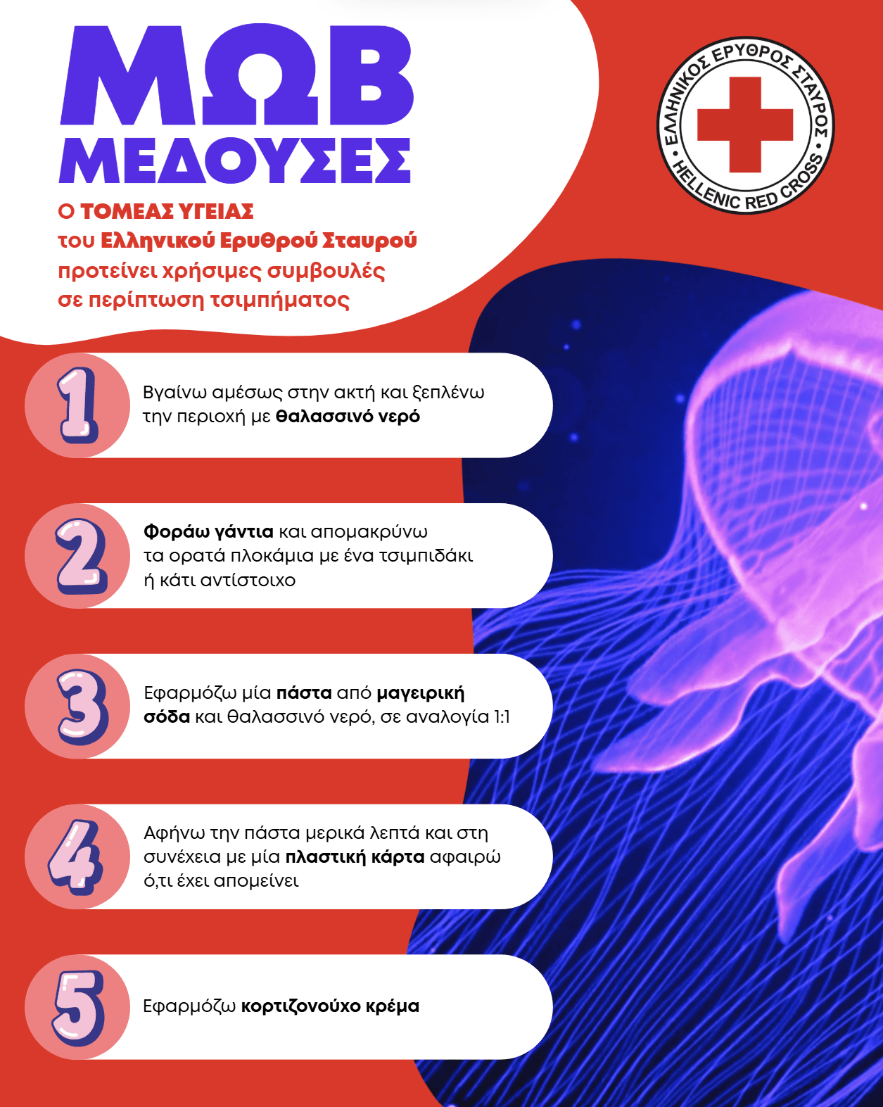 μωβ μέδουσες