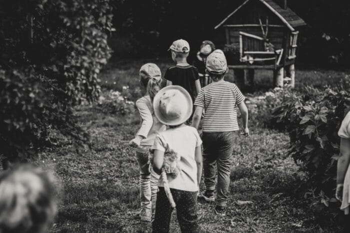 anastasia vityukova QfMYZhG JtI unsplash