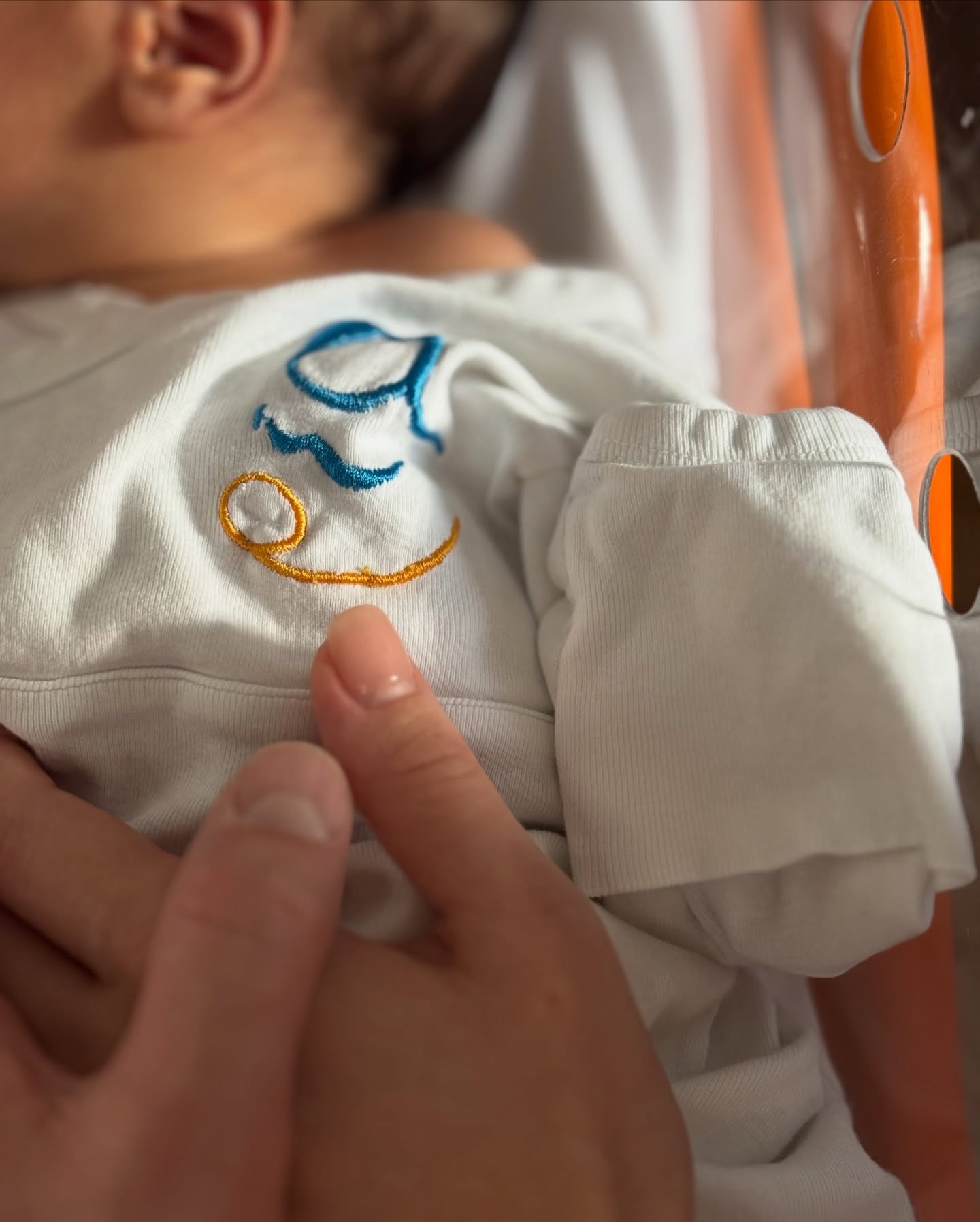 625191407 18553886719048468 4981802257348553852 n