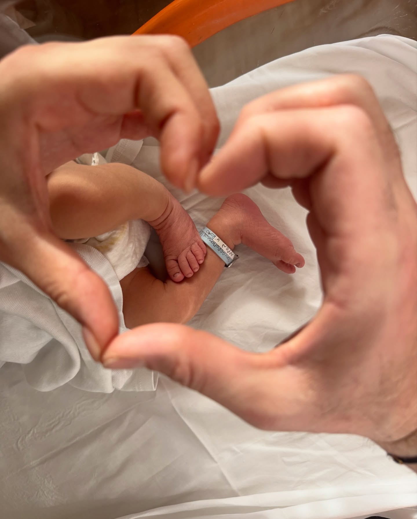 626707962 18553886683048468 3369356091881439692 n