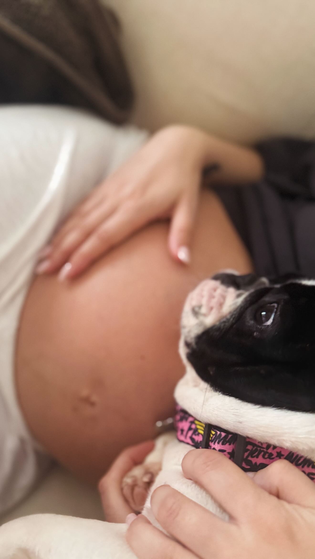 657403143 18571007332018120 9036995251972765665 n