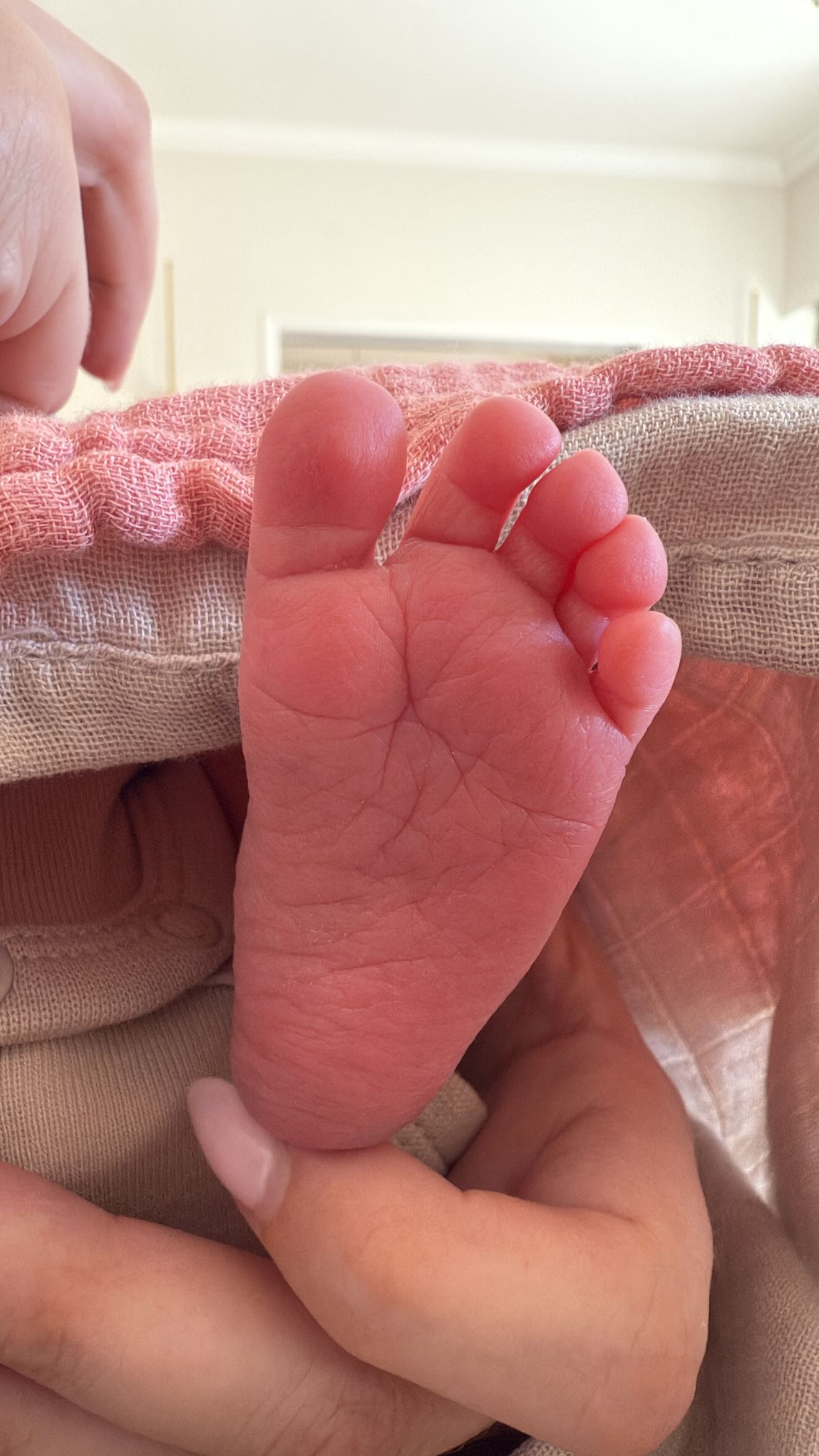 670485242 18576445999018120 3420330956728482722 n