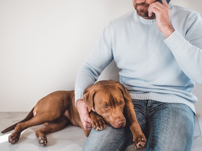 Sick Dog and Owner